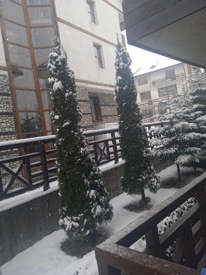 Mila Vip Apartment Μπάνσκο Εξωτερικό φωτογραφία
