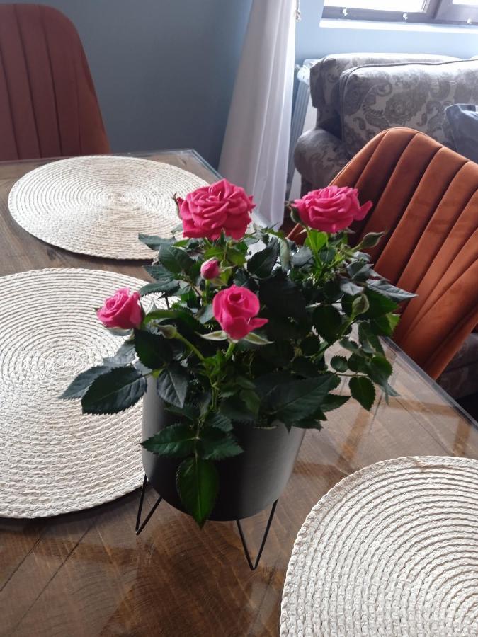 Mila Vip Apartment Μπάνσκο Εξωτερικό φωτογραφία