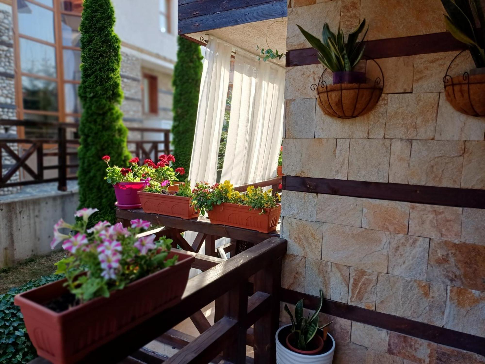 Mila Vip Apartment Μπάνσκο Εξωτερικό φωτογραφία